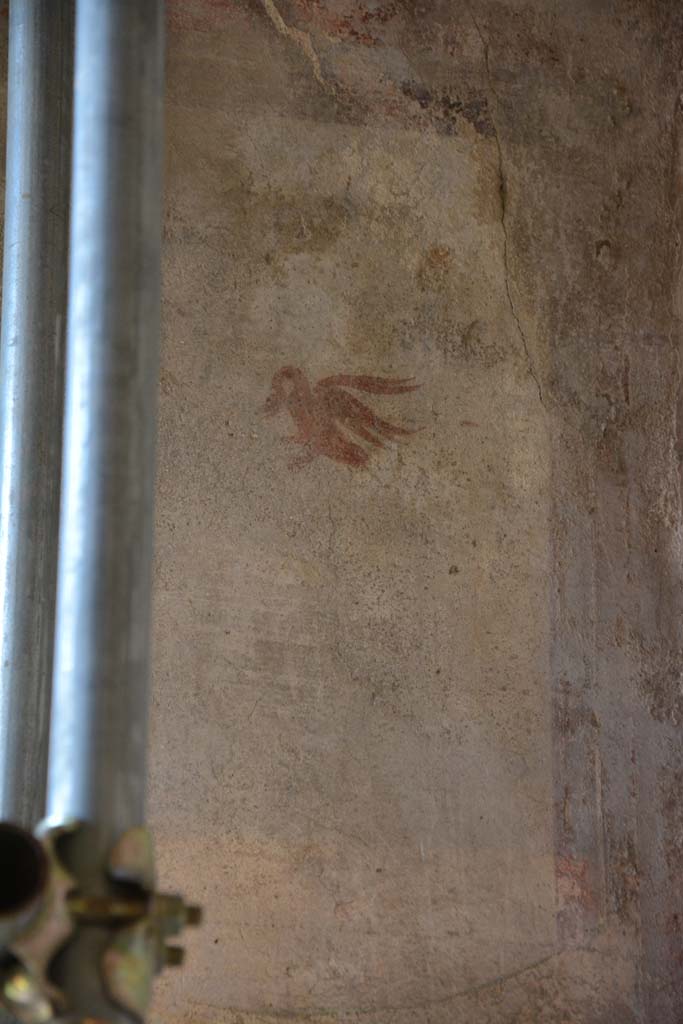 IX.5.6 Pompeii. May 2017.
Room k, (east side), detail of painted swan from upper east end of north wall.
Foto Christian Beck, ERC Grant 681269 DÉCOR.