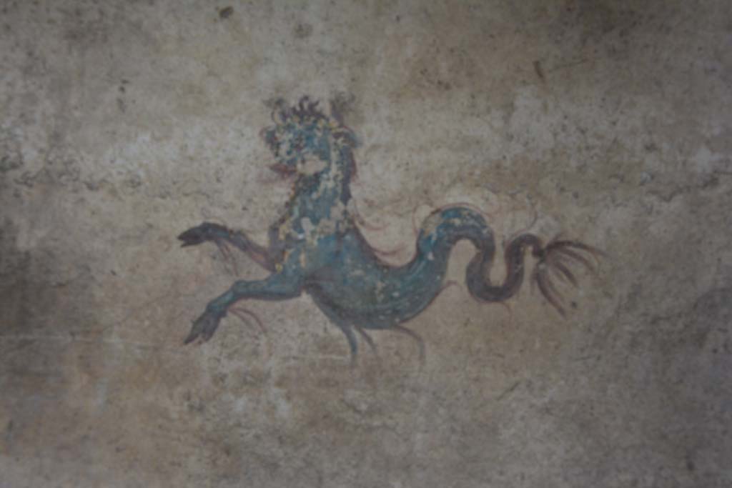 IX.5.6 Pompeii. March 2017. Room k’, detail of sea monster from east wall in north-east corner.
Foto Christian Beck, ERC Grant 681269 DÉCOR.