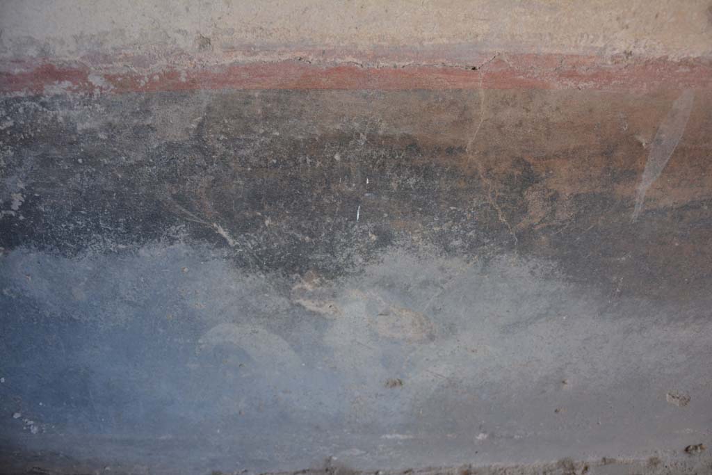 IX.5.6 Pompeii. May 2017. Room k’, detail of painted plant from zoccolo on east wall.
Foto Christian Beck, ERC Grant 681269 DÉCOR.