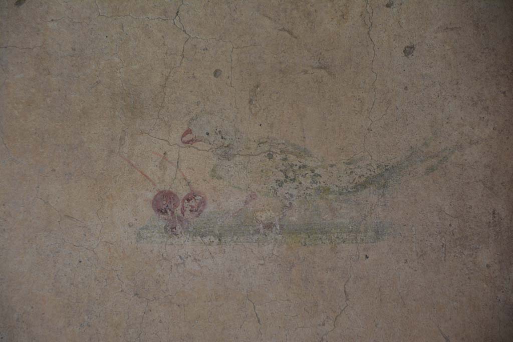 IX.5.6 Pompeii. May 2017. Room l (L), detail of painted bird with two cherries on north wall, panel at east end.
Foto Christian Beck, ERC Grant 681269 DÉCOR.