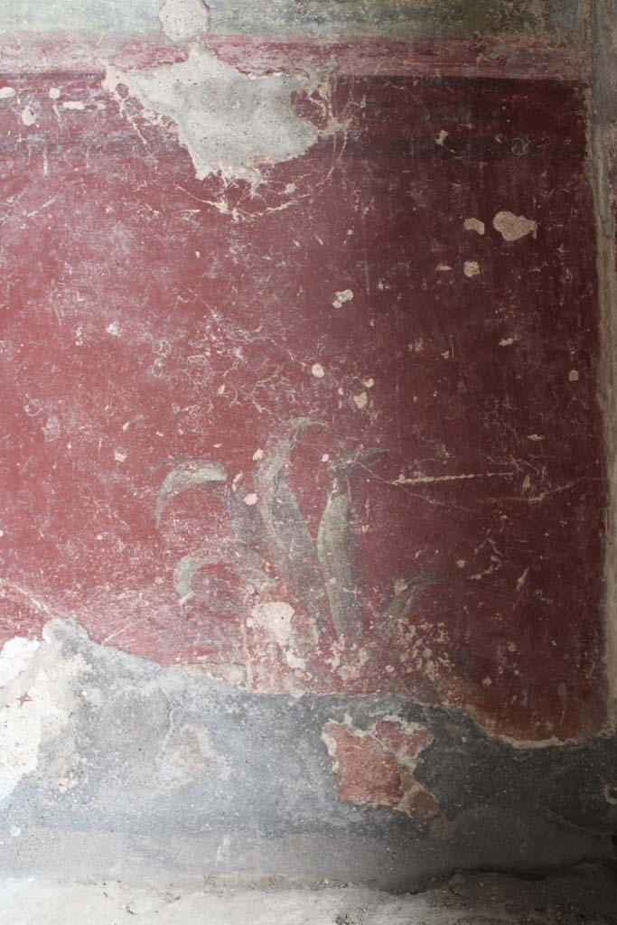 IX.5.9 Pompeii. May 2019. Room l (L), zoccolo on lower north wall at east end.  
Foto Christian Beck, ERC Grant 681269 DCOR.

