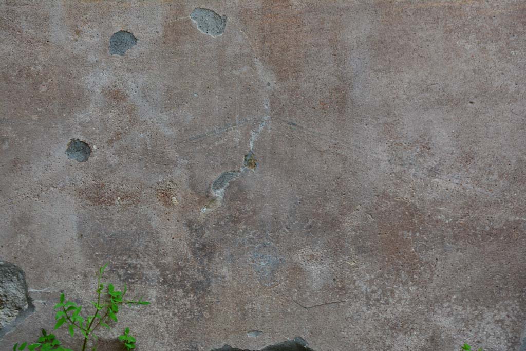 IX.5.9 Pompeii. March 2017. Room g, south wall, detail from centre of zoccolo below yellow central panel.
Foto Christian Beck, ERC Grant 681269 DCOR.

