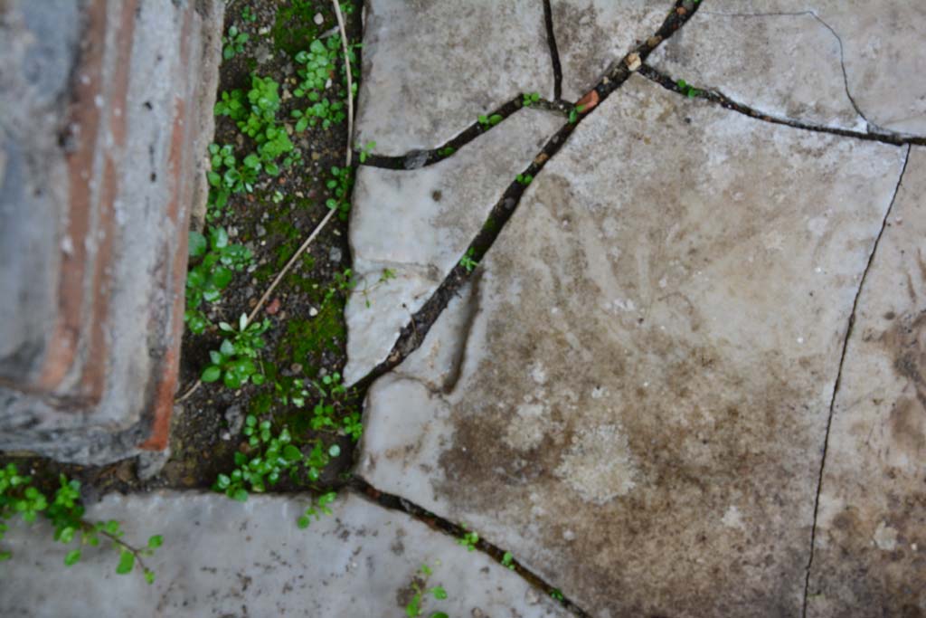 IX.5.11 Pompeii. March 2017. Room f, detail of doorway threshold.   
Foto Christian Beck, ERC Grant 681269 DCOR.

