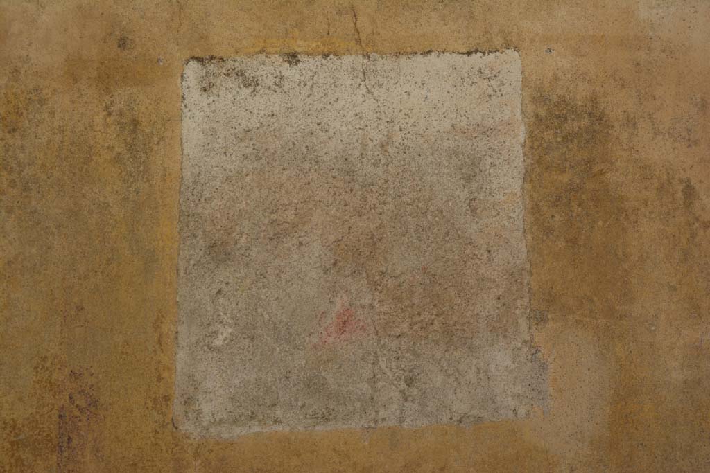 IX.5.11 Pompeii. May 2017. Room f, central wall painting from west wall.
Foto Christian Beck, ERC Grant 681269 DCOR.

