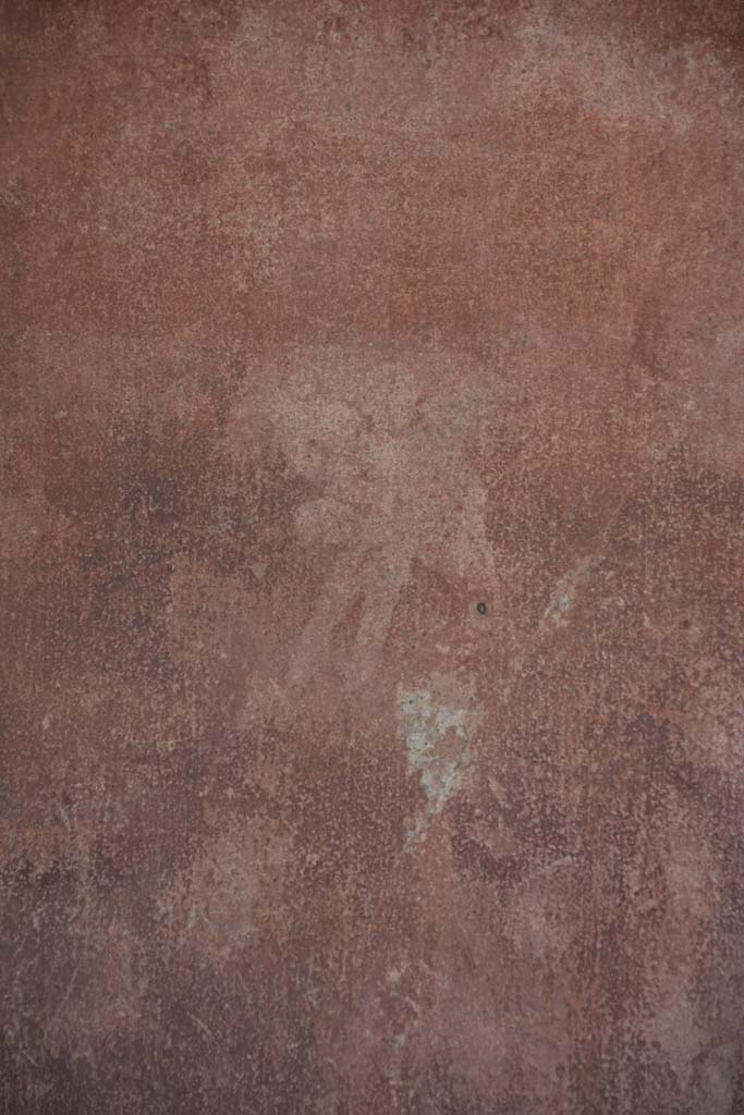 IX.5.11 Pompeii. May 2017. Room e, detail of flying cupid from west wall at south end.  
Foto Christian Beck, ERC Grant 681269 DCOR.
