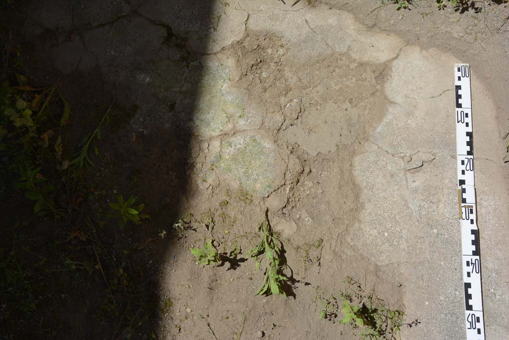 IX.5.11 Pompeii. May 2017. Room d, detail of flooring near west wall. 
Foto Christian Beck, ERC Grant 681269 DCOR.


