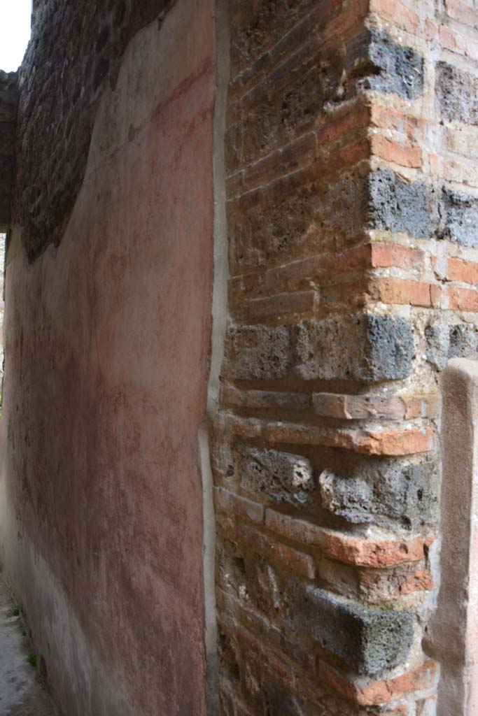 IX.5.11 Pompeii. March 2017. Room m, looking south along west wall from north end. 
Foto Christian Beck, ERC Grant 681269 DCOR.


