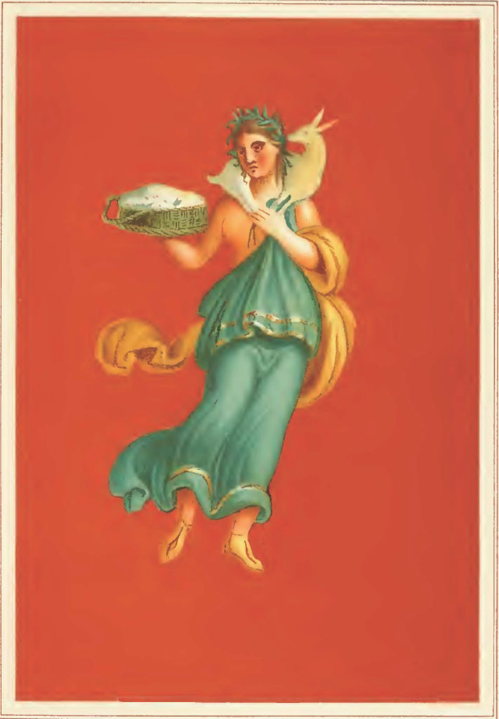 IX.5.11 Pompeii. 1881. Atrium, west side, copy by Discanno of a painting of Spring.
She had a lamb on her shoulders and held fresh cheese in a basket.
This would have been seen on the pilaster between rooms f and e.
See Presuhn E., 1882. Pompeji: Die Neuesten Ausgrabungen von 1874 bis 1881. Leipzig: Weigel. (VIII, plate II).
According to Fiorelli, on the red plaster of the pilaster that was between this cubiculum and the preceding ala, was painted a pretty female figure crowned with leaves and wearing a green robe and yellow mantle, carrying on her shoulder a lamb, and holding a basket in her right hand.
See Notizie degli Scavi di Antichità, 1877, (p.250)
According to Mau, 0.34 high, it was a painting showing Spring, turning her face half to the right and half towards the viewer. She was crowned with some long and narrow leaves and yellow and white flowers, dressed in a double green robe that left her right shoulder bare and her left arm wrapped in a fluttering robe in the guise of a shawl, on her feet were white shoes. A lamb was supported on the nape of her neck and in the right hand, she held a green basket with a white lump (ricotta).
See Bullettino dell’Instituto di Corrispondenza Archeologica (DAIR), 1879, (p.196-7)