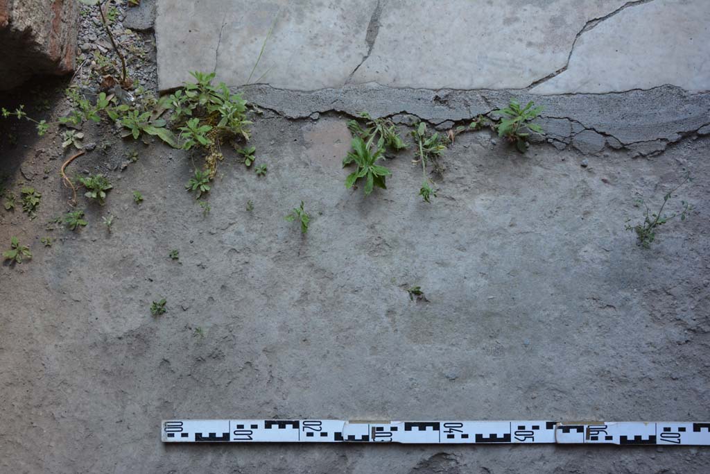 IX.5.11 Pompeii. May 2017. Room g, detail of flooring near doorway threshold.
Foto Christian Beck, ERC Grant 681269 DCOR.
