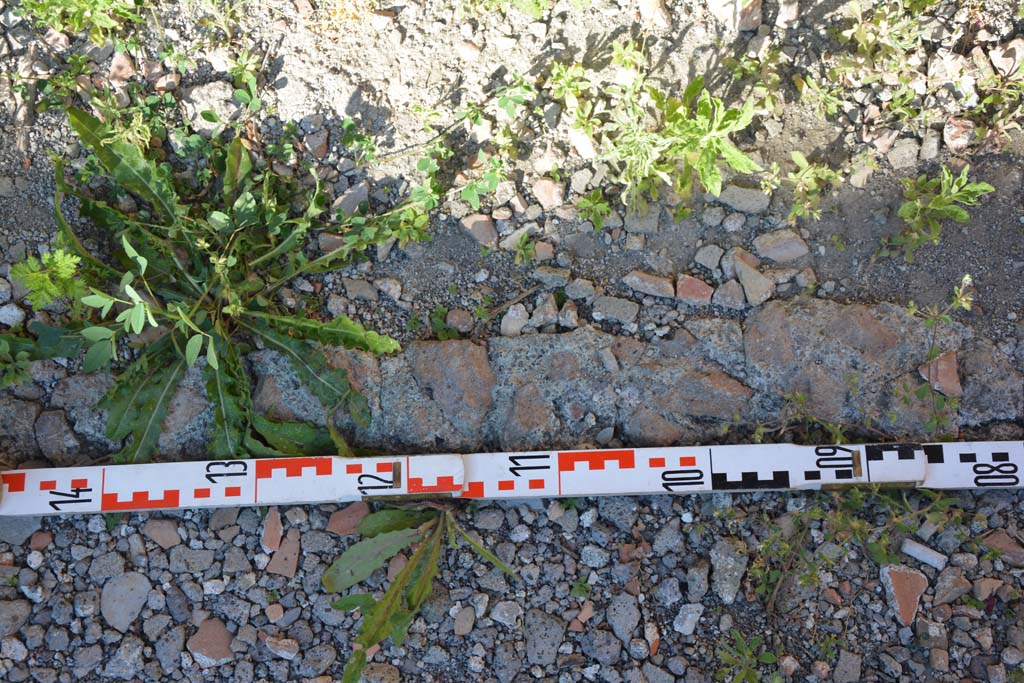 IX.5.11 Pompeii. May 2017. Room h, detail of flooring.
Foto Christian Beck, ERC Grant 681269 DCOR.

