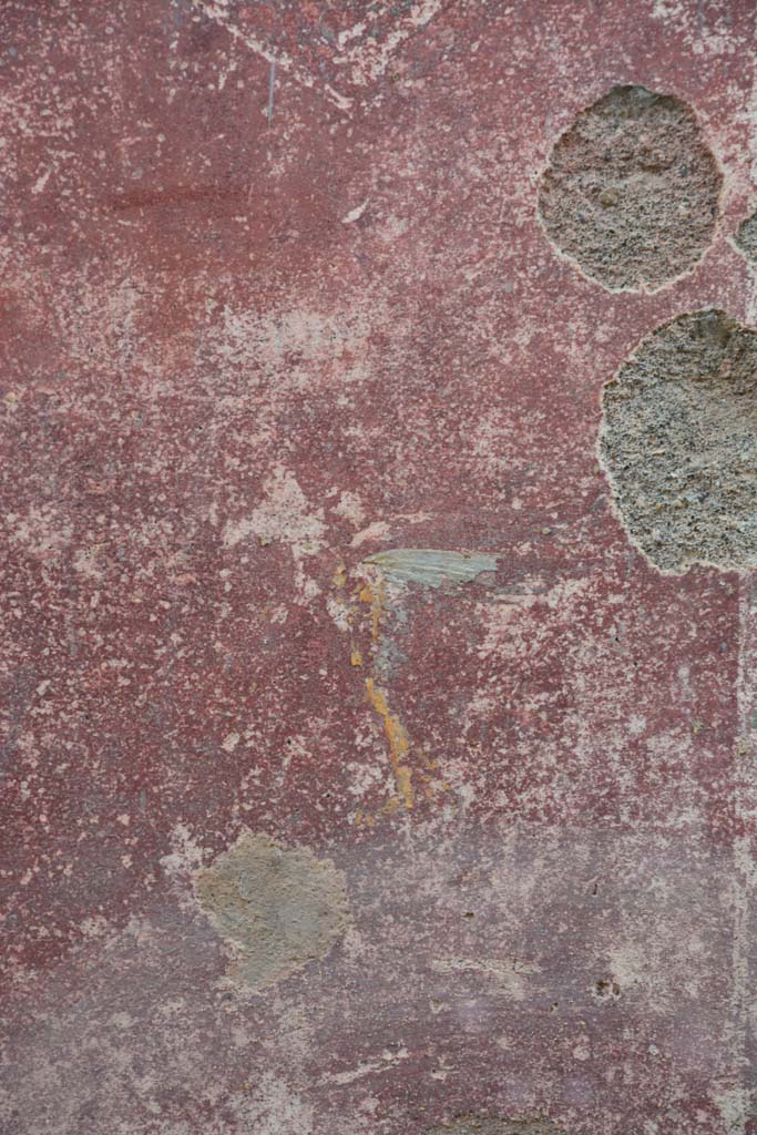 IX.5.11 Pompeii. March 2017. 
Room I (L), detail of painted swan from compartment of zoccolo on west wall.
Foto Christian Beck, ERC Grant 681269 DÉCOR.

