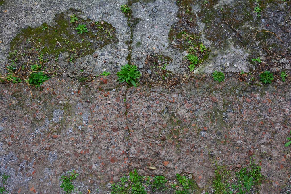 IX.5.11 Pompeii. March 2017. Room l (L), looking north towards change of flooring between tablinum, below, and atrium, above.  
Foto Christian Beck, ERC Grant 681269 DCOR.
