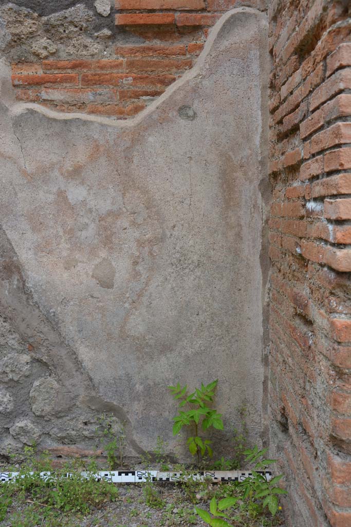 IX.5.12 Pompeii. May 2017. Detail from west wall at north end.
Foto Christian Beck, ERC Grant 681269 DÉCOR.