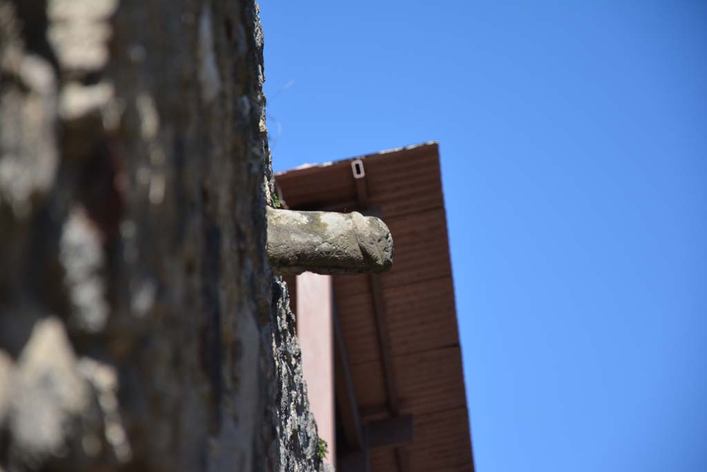 IX.5.13 Pompeii. March 2017. Detail of phallus, Looking north towards phallus set in wall above doorway.
Foto Christian Beck, ERC Grant 681269 DÉCOR.