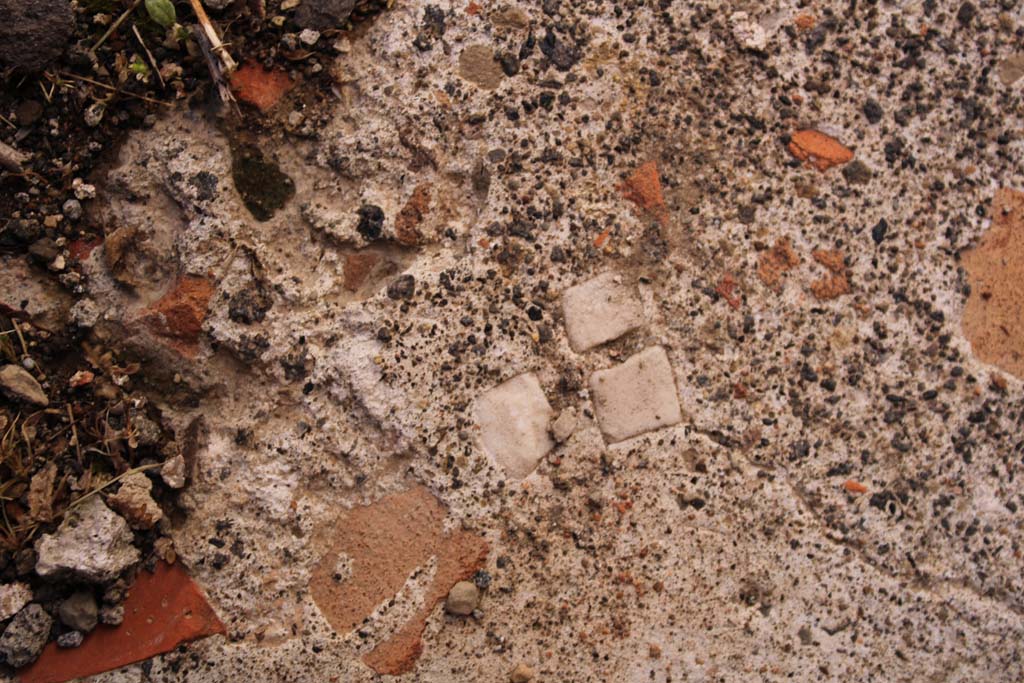 IX.5.14 Pompeii. May 2019. Room f, detail of flooring.
Foto Christian Beck, ERC Grant 681269 DCOR.
