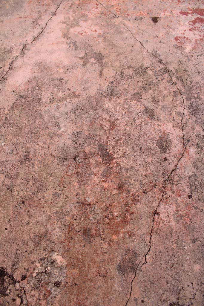 IX.5.14 Pompeii. May 2019. Room f, figure of Muse in centre of north panel on east wall.
Foto Christian Beck, ERC Grant 681269 DCOR.

