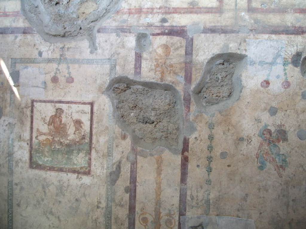 IX.5.16 Pompeii. May 2005. Cubiculum f’, on west side of atrium.
Central wall paintings on west wall, candelabra in panel between, together with flying cupid, at north end.