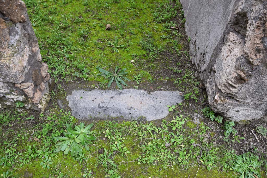 IX.5.18 Pompeii. March 2018.  Room “s”, doorway threshold, looking north.
Foto Annette Haug, ERC Grant 681269 DÉCOR.
