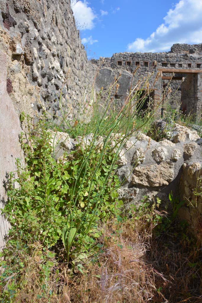 IX.5.18 Pompeii. May 2017. Room m, south wall of cupboard 
Foto Christian Beck, ERC Grant 681269 DÉCOR.

