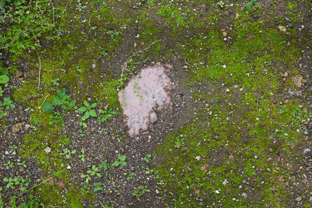 IX.5.18 Pompeii. March 2017. Room a, floor of entrance corridor.
Foto Christian Beck, ERC Grant 681269 DÉCOR.
