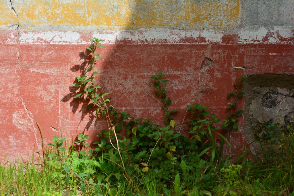 IX.5.18 Pompeii. March 2017. Room o, detail from zoccolo below central panel on east wall.
Foto Christian Beck, ERC Grant 681269 DÉCOR.
