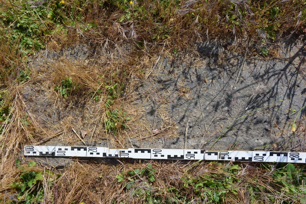IX.5.18 Pompeii. May 2017. Room b, doorway threshold between atrium and room l (L).
Foto Christian Beck, ERC Grant 681269 DÉCOR.
