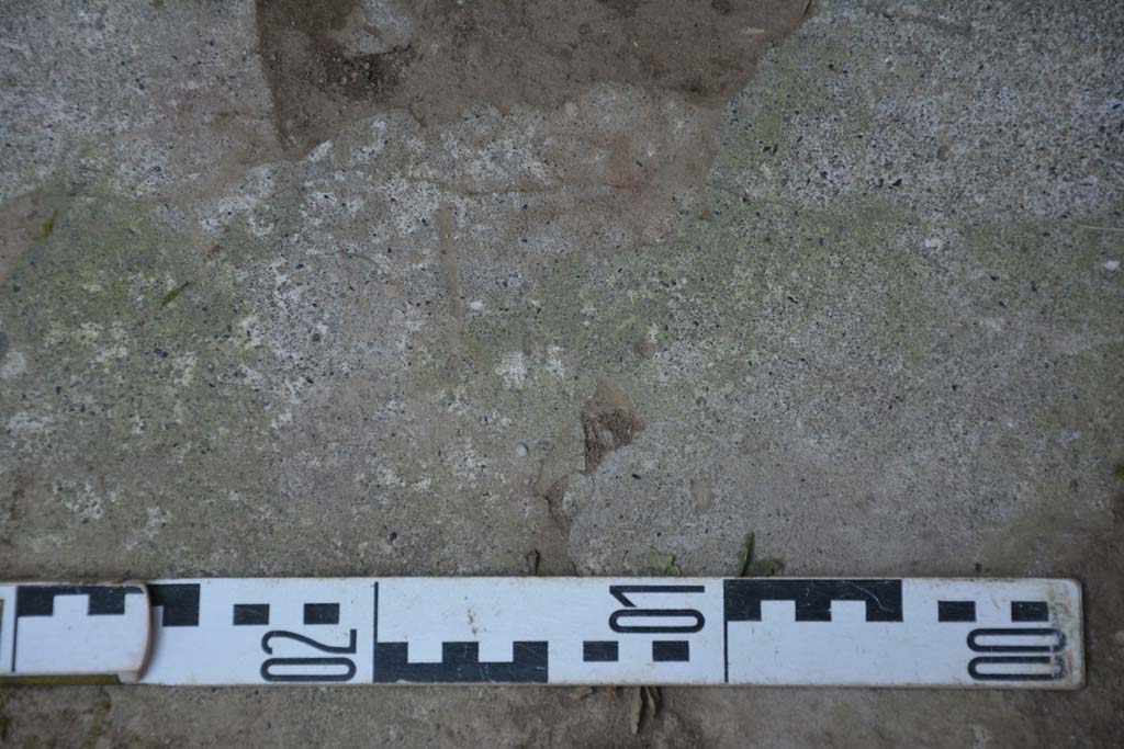 IX.5.18 Pompeii. May 2017. Room d, detail of flooring.
Foto Christian Beck, ERC Grant 681269 DÉCOR.
