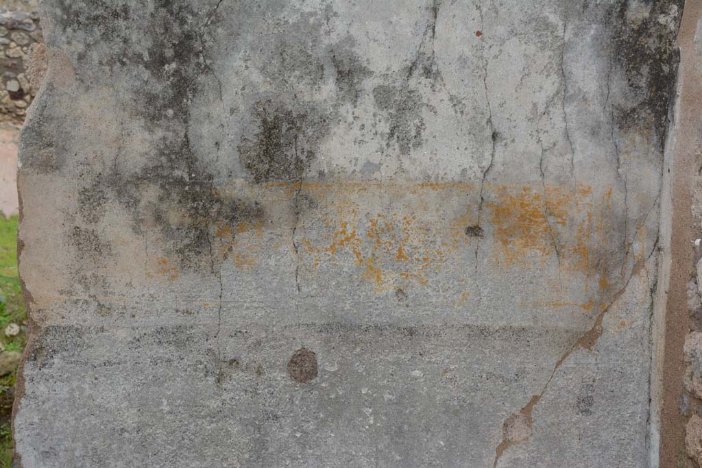 IX.5.18 Pompeii. March 2018. Triclinium “f”, detail from east wall at south end.
Foto Annette Haug, ERC Grant 681269 DÉCOR.
