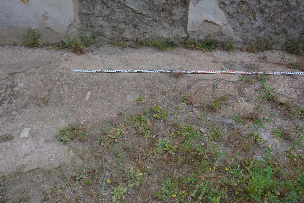 IX.5.18 Pompeii. May 2017. Room f, flooring (a net of stars and squares) near north wall.
Foto Christian Beck, ERC Grant 681269 DÉCOR.
