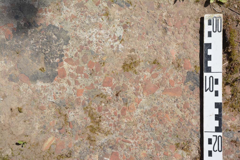 IX.5.18 Pompeii. May 2017. Room g, detail of flooring.
Foto Christian Beck, ERC Grant 681269 DÉCOR.

