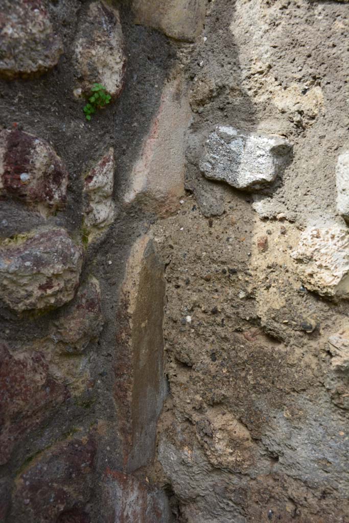 IX.5.18 Pompeii. March 2017. Room z, detail from west wall in north-west corner.
Foto Christian Beck, ERC Grant 681269 DÉCOR.
