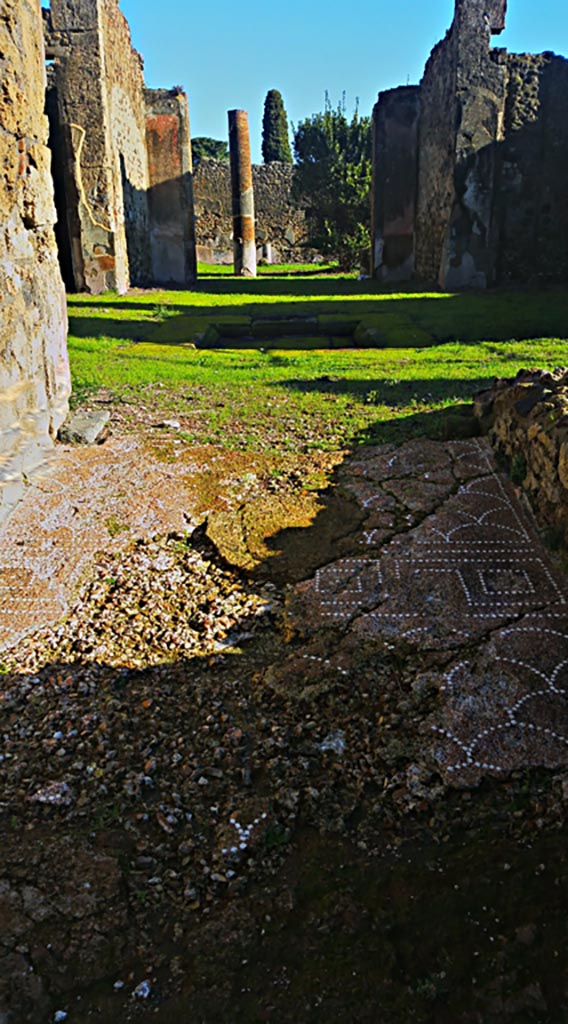 IX.6.5 Pompeii. December 2019.
Looking east across remaining mosaic in entrance corridor/fauces.
Photo courtesy of Giuseppe Ciaramella.
