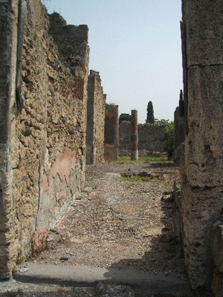 IX.6.5 Pompeii. May 2005. Entrance fauces or corridor, with remains of painted red zoccolo.
According to Della Corte, this beautiful and spacious dwelling house was in the course of radical transformation at the moment of its burial by Vesuvius.
At least this was the idea of the excavators, because of the non-decorated rustic looking walls.
There was also a concentration of domestic instruments found in small rooms off the atrium, and especially in the second cubicle to the left of the entrance.  
A technical instrument, a circinus (drafting compass), found in the house gave the profession of Gratus, he was an architect. 
See Della Corte, M., 1965. Case ed Abitanti di Pompei. Napoli: Fausto Fiorentino. (p.164).
See Notizie degli Scavi di Antichità, 1879, p.45.

