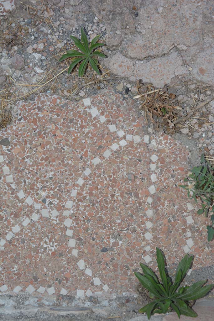 IX.6.5 Pompeii. July 2017. Detail of decorative floor in entrance corridor.
Foto Annette Haug, ERC Grant 681269 DÉCOR.
