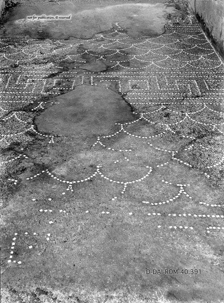 IX.6.5 Pompeii. c.1930. Vestibule/entrance corridor 1, decorated flooring. 
DAIR 40.391.Photo © Deutsches Archäologisches Institut, Abteilung Rom, Arkiv.
See Pernice, E.  1938. Pavimente und Figürliche Mosaiken: Die Hellenistische Kunst in Pompeji, Band VI. Berlin: de Gruyter, (p.46f, and tav. 15.1 above.)
