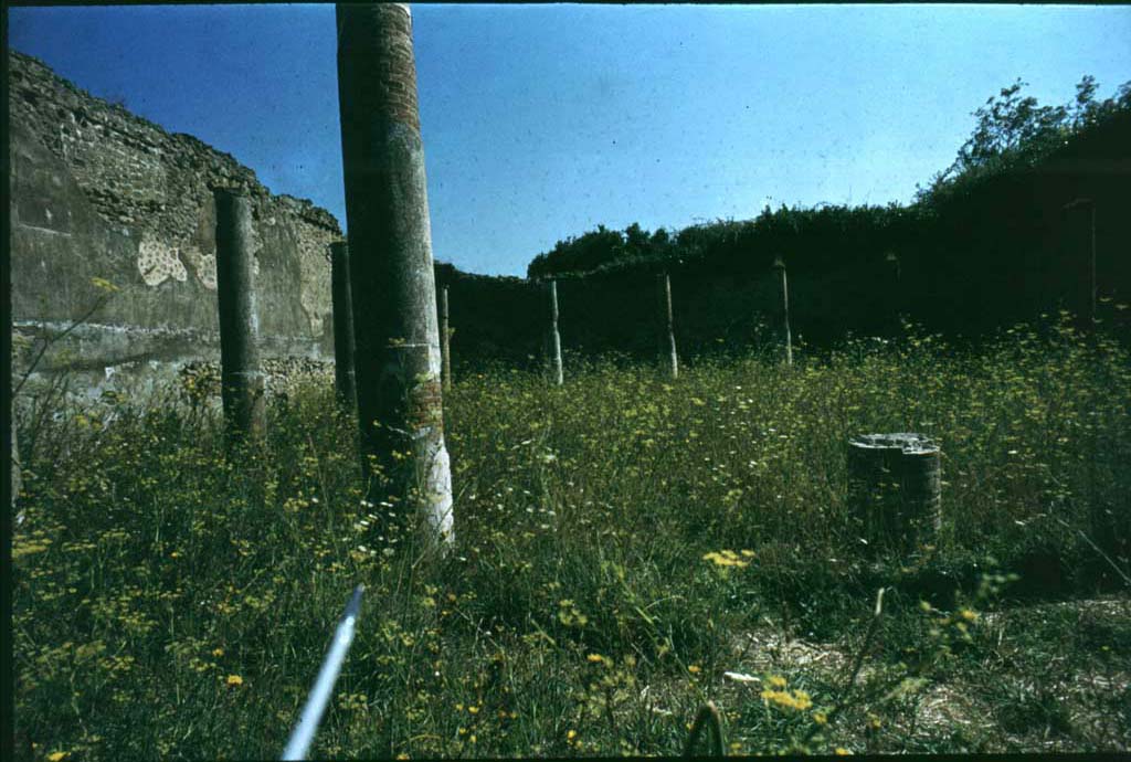 IX.6.5 Pompeii.  North side of peristyle garden area 3, looking east. Note the columns still standing, in the distance on the east side.
Photographed 1970-79 by Günther Einhorn, picture courtesy of his son Ralf Einhorn.
