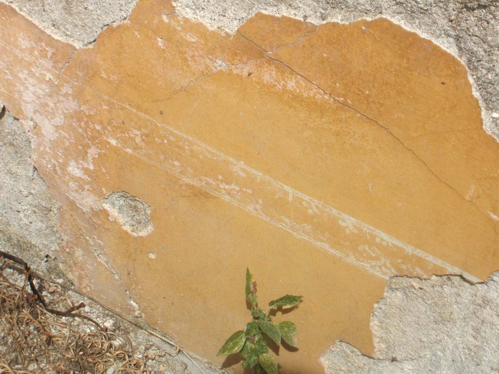 IX.6.g Pompeii. May 2005. Remains of yellow painted plaster from north-west corner of tablinum “d”.
According to Mau, the tablinum was painted in the IV style. 
The middle sections of the walls were divided into three compartments, the middle painted with architectural features. 
The side panels were yellow and in the centre of each was painted a group of vases.
In the centre compartments were two large landscape paintings with figures – almost completely vanished (1,72 high, the one on the right 1.06 wide, the one on the left, 1.04 wide).
In the painting on the right, in the lowest part to the right, Mau could recognise a figure that reminded him of Diana, as she was seen in the painting by Acteon.
The painting on the left showed on the left a steep mountain, with a valley on the right, where traces of animals could be seen, and with a building on the extreme left.  On the mountain three figures could be seen.  Mau could not tell if they were statues or real figures: there was a woman with someone on each side.  The figure on the right was feminine; the other was small and Mau could not determine its sex. The woman had a raised right hand and lowered her look – so that her head could be seen in profile – towards the same side, above the latter person. 
Above the painting on the right, was seen a type of frieze, (0,23m high, 0,41m wide), in yellow on a red background. Between two columns was a cockerel (looking right) with his head raised, and more to the right a vase; on the right column lay an object, but it was not definable. 
The upper parts of the walls were occupied by the usual architectural paintings.
See Bullettino dell’Instituto di Corrispondenza Archeologica (DAIR), 1880 p. 267-8.
