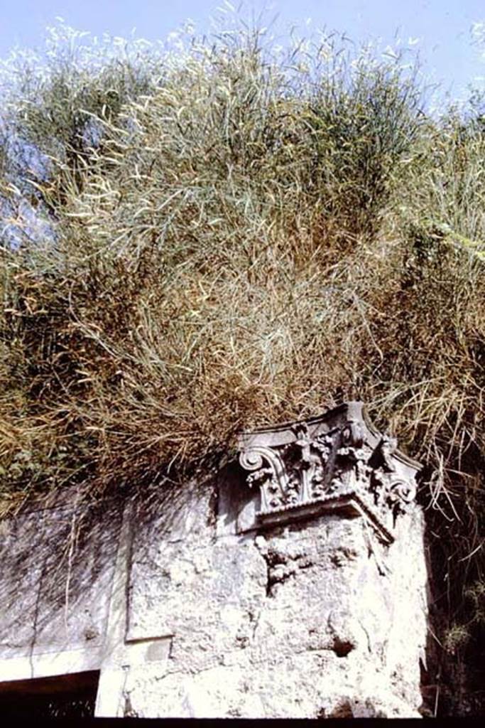 IX.7.3 Pompeii, 1968. Corinthian capital. Photo by Stanley A. Jashemski.
Source: The Wilhelmina and Stanley A. Jashemski archive in the University of Maryland Library, Special Collections (See collection page) and made available under the Creative Commons Attribution-Non Commercial License v.4. See Licence and use details.
J68f0480