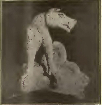 IX.7.11 Pompeii.
Discovered 1912 to the left of the entrance at a depth from 1.70m down to the threshold level.
Bronze statuette of a hunting dog, 9cm high, squatting on its hind legs.
See Notizie degli Scavi di Antichità, 1912, p.333-336, fig 2.