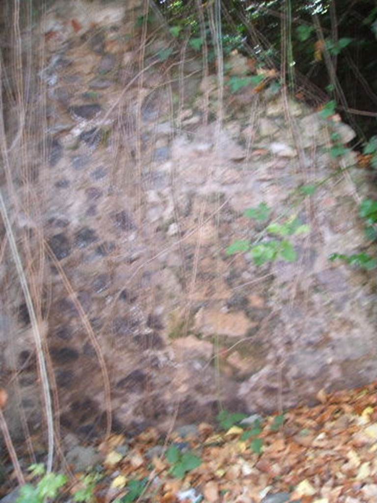 IX.7.15 Pompeii. May 2005. East wall.
