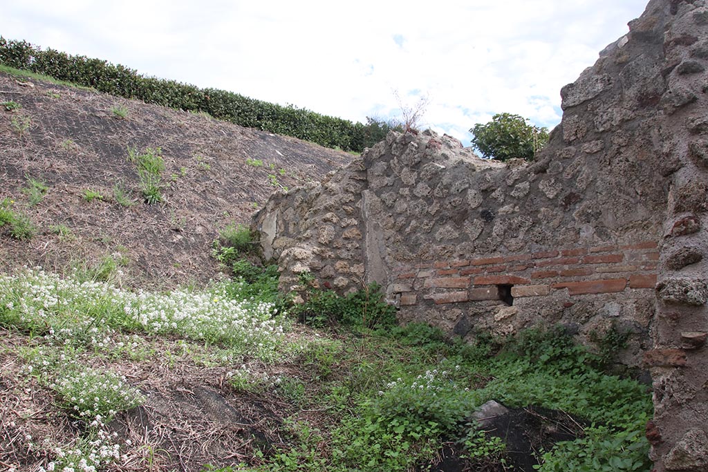 IX.7.16 Pompeii. October 2024. South wall of room 5, in centre, and room 6, on right. Photo courtesy of Klaus Heese.