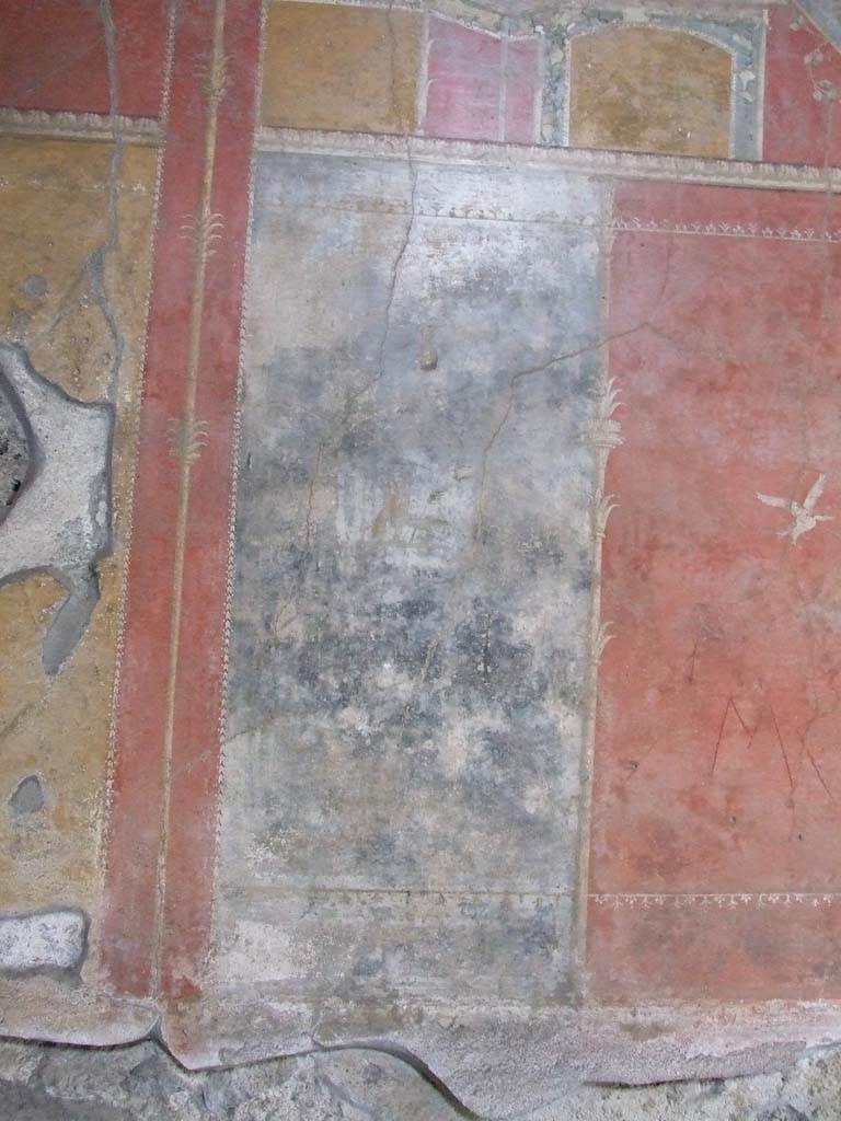 IX.7.20 Pompeii. December 2007. 
Room (i), west wall, panels to south of central painting. On the red panel is a painted white swan.
