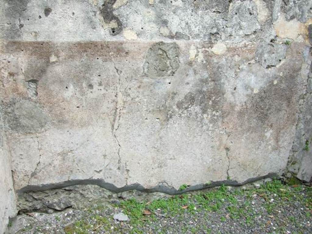 IX.8.2 Pompeii. March 2009. Remains of painted plaster on base of east wall of front room of shop.