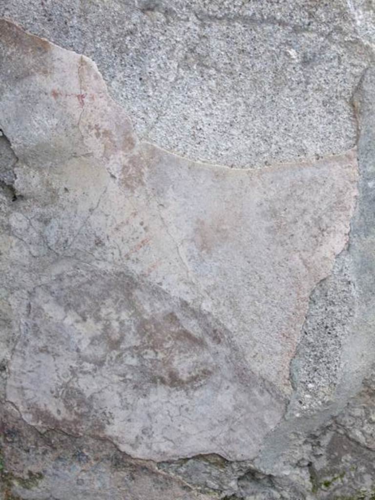 IX.8.2 Pompeii. March 2009. Base of the north wall of the front room of the shop, painted with lattice fence and plants.