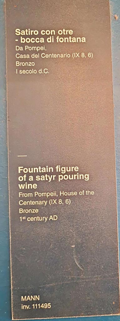 IX.8.6 Pompeii. October 2023.
Description card for statue 111495. Photo courtesy of Giuseppe Ciaramella. 

