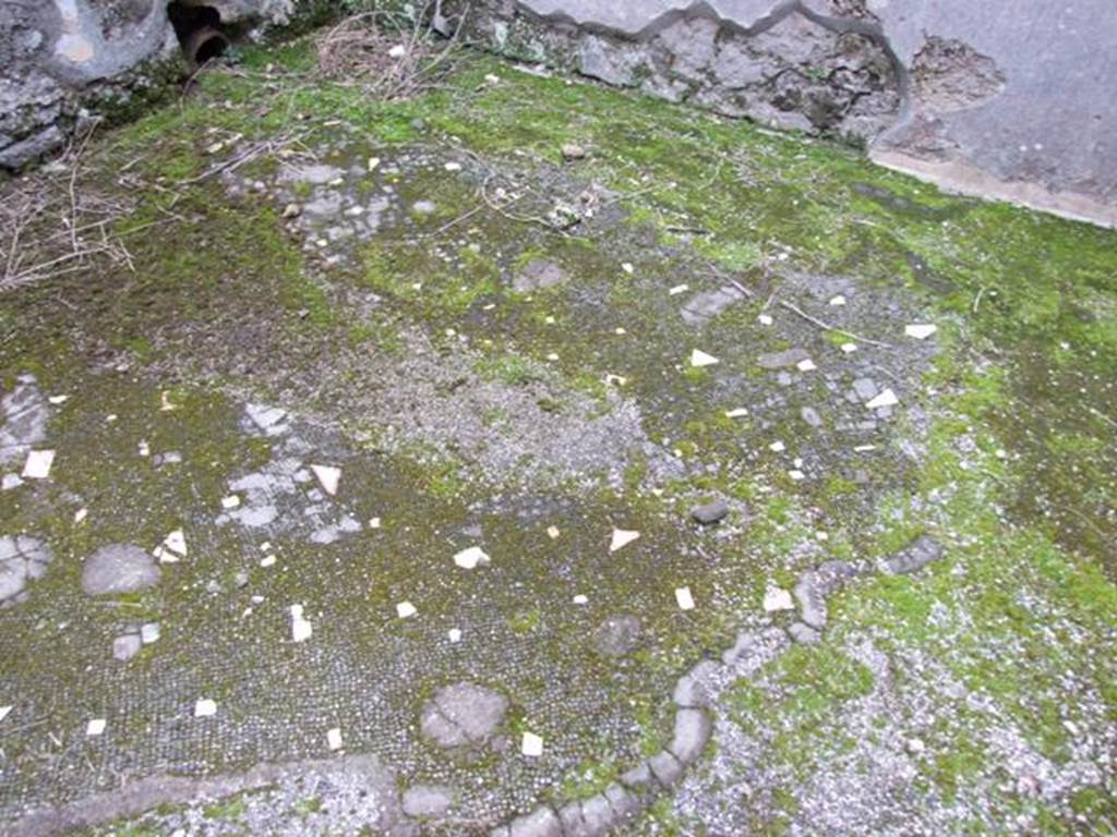 IX.8.6 Pompeii. March 2009.   Room 31.  Floor.