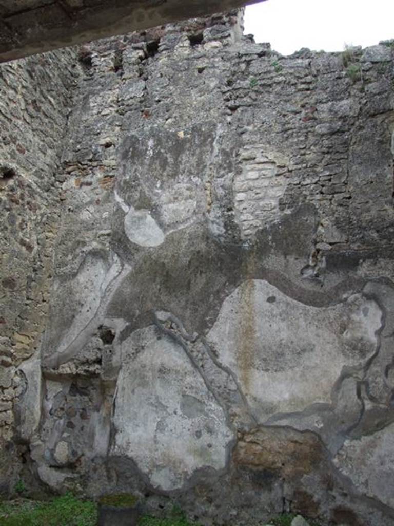 IX.8.7 Pompeii. March 2009.  South wall.
