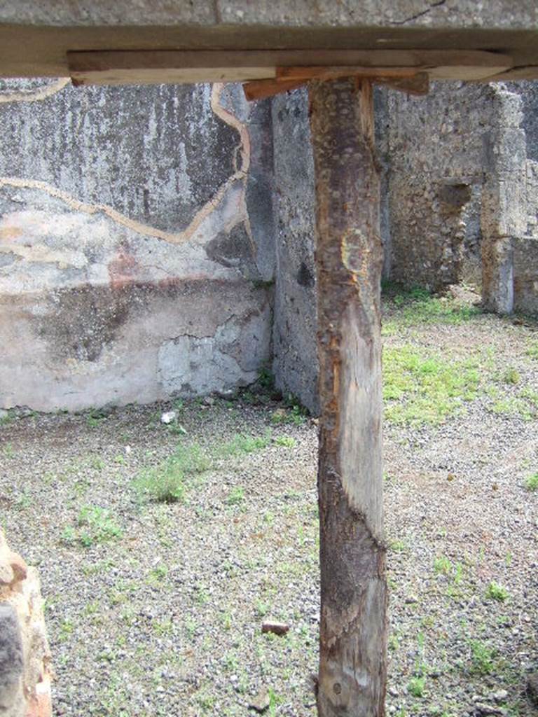 IX.9.6 Pompeii. May 2006. Looking south-east through doorway to triclinium from rear corridor.  Looking towards portico and doorway to room in south-east corner through other doorway.  According to NdS, this spacious triclinium had a beaten floor, and was decorated with yellow and red panels, with a black plinth (zoccolo), surmounted by a white frieze.
In the north-west corner some lime was found, and on the west wall there were traces of burning.
See Notizie degli Scavi, 1889, p.125

