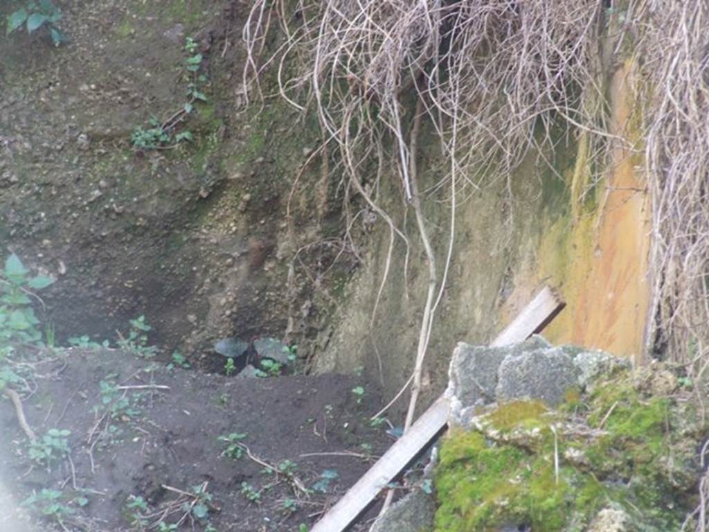 IX.9.13 Pompeii.  March 2009.    Unexcavated behind Room 5.
