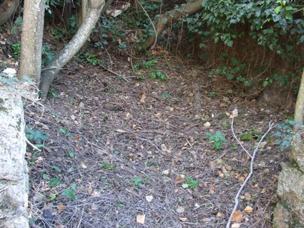 IX.9.13 Pompeii. March 2009. Room 1. Cubiculum. Looking south, into unexcavated.